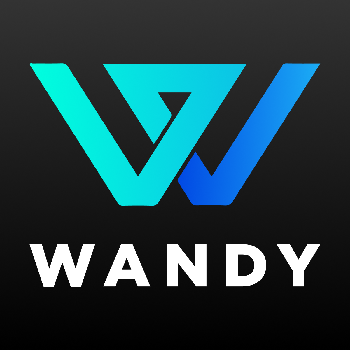 Wandy Website